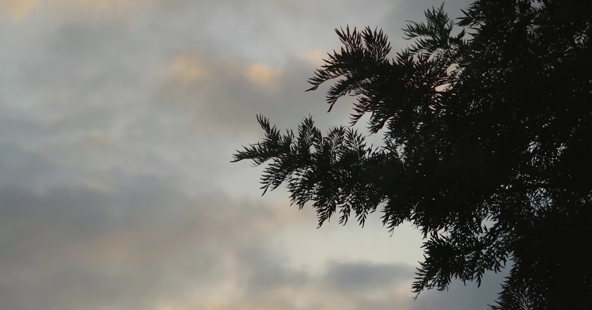 Stills do videoclipe Amanhecer na Cidade de André Pacheco