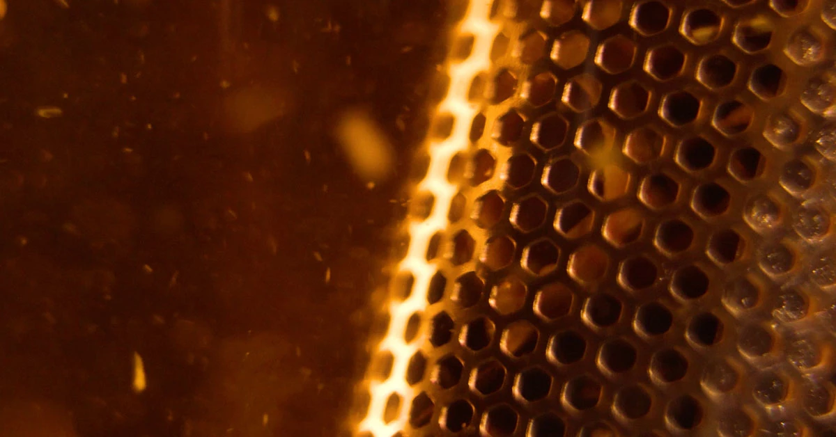 Vídeo Publicitário para a marca Vincci