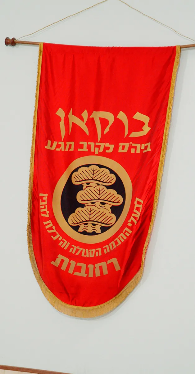 Stills do vídeo publicitário para o instrutor de Krav Maga, Bruno Ribeiro