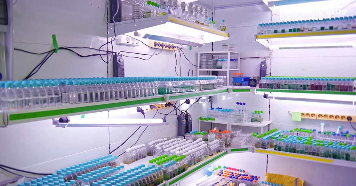 Vídeo de apresentação da nova Plataforma de Investigação Blue Biobanks criada no âmbito do Portugal Blue Digital Hub.