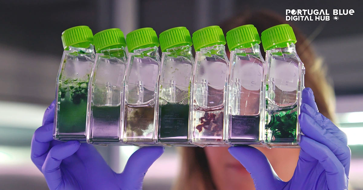 Vídeo de apresentação da nova Plataforma de Investigação Blue Biobanks criada no âmbito do Portugal Blue Digital Hub.